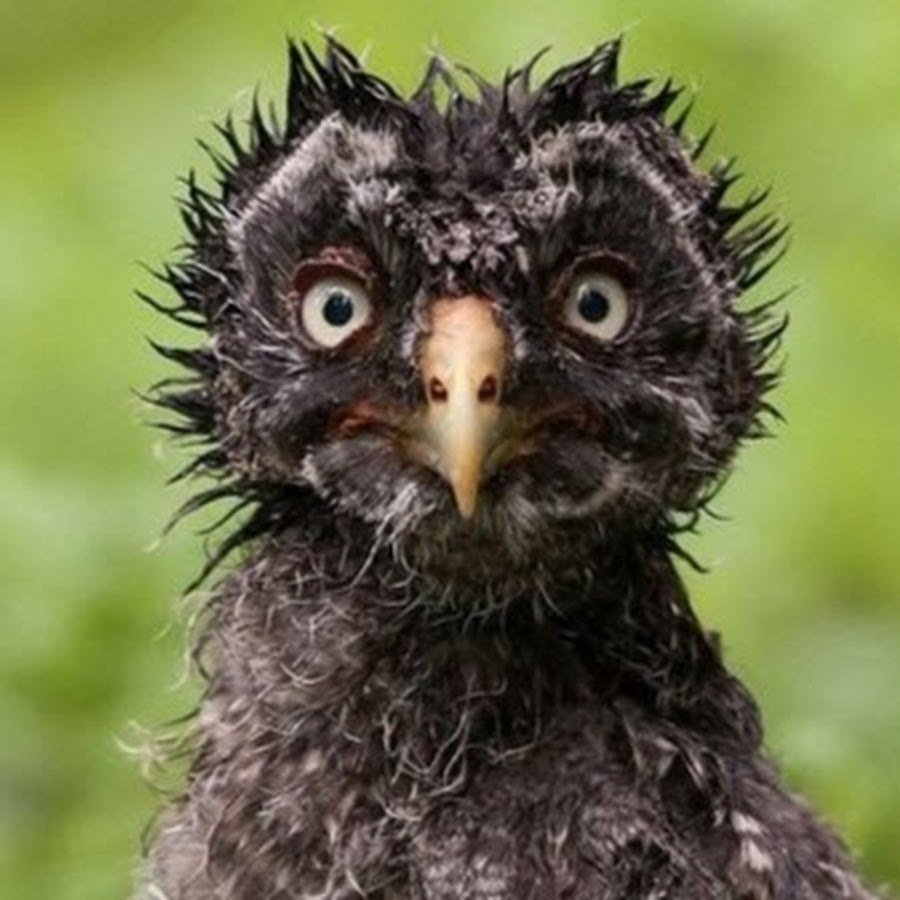 Отличного понедельника