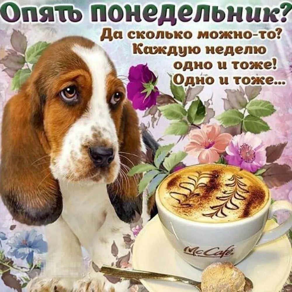Поздравление с понедельником прикольное