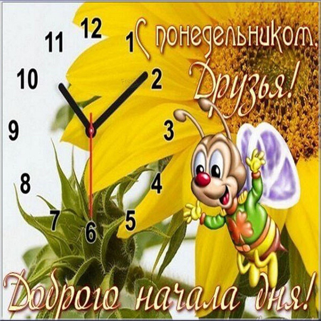 С добрым утром понедельника