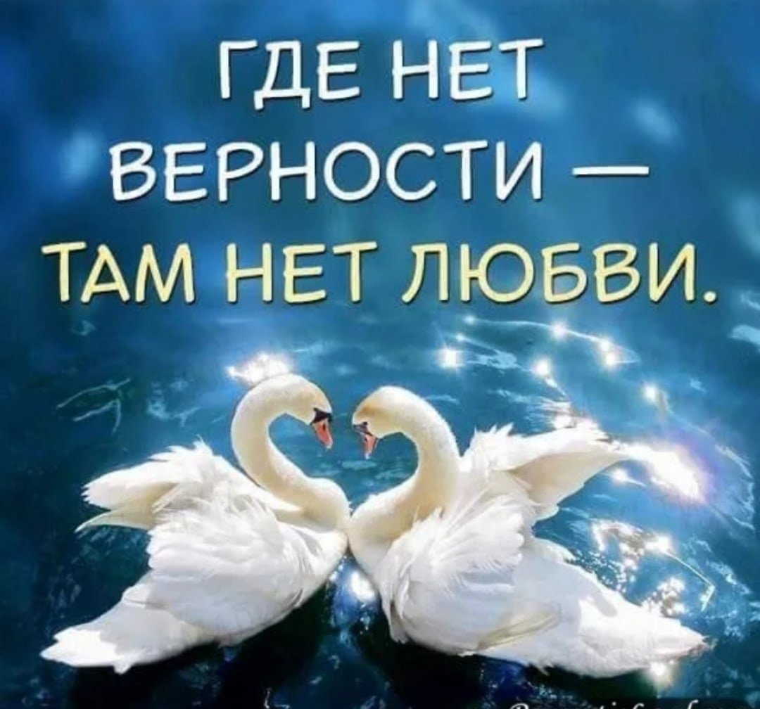 Любовь и верность