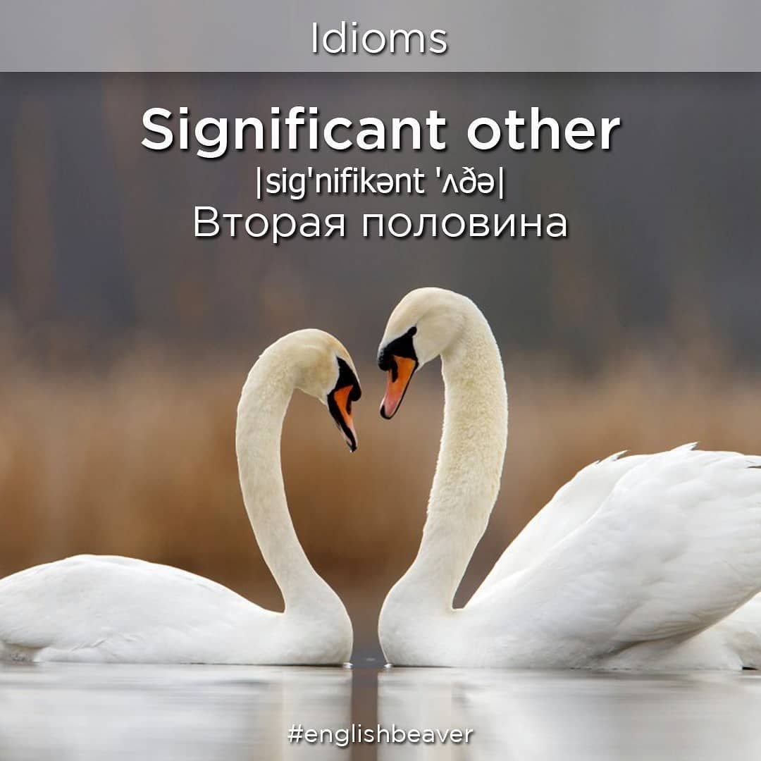 Лебединая верность