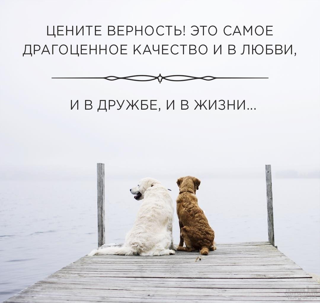 Верность фразы