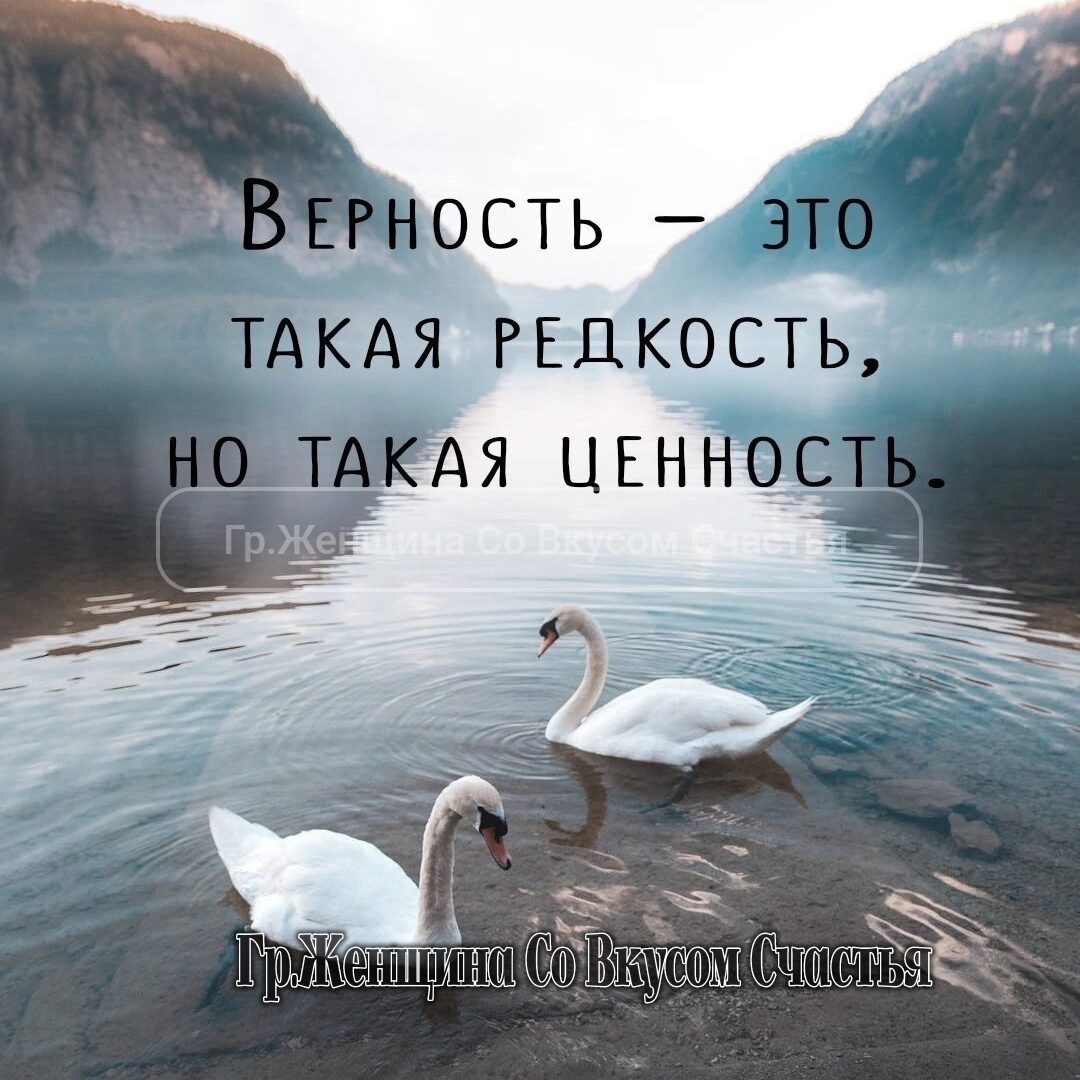 Верность это такая редкость