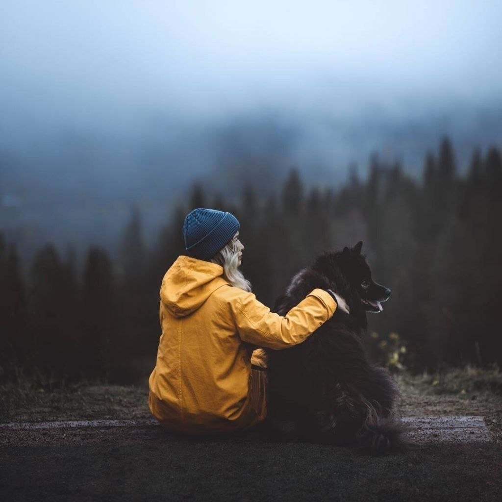 Высказывания о преданности