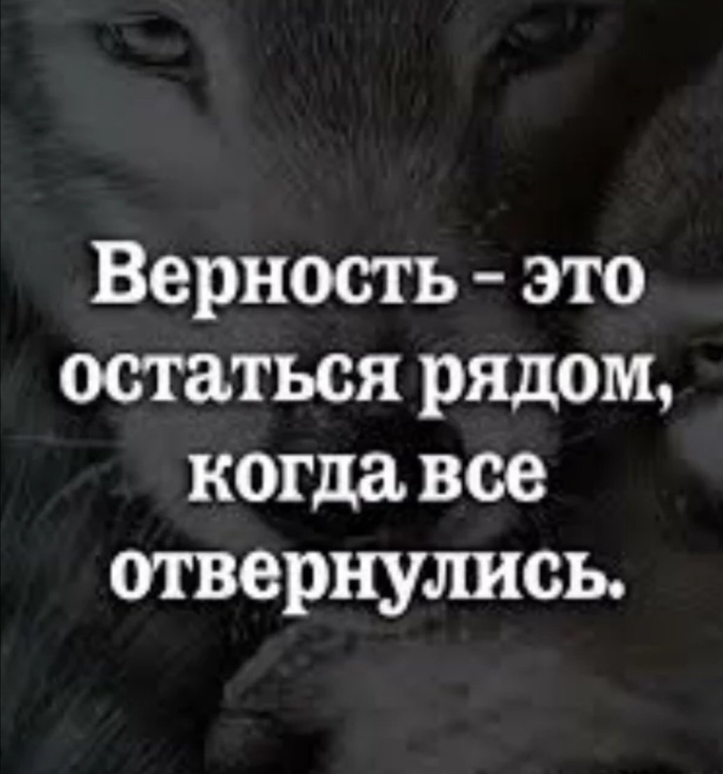 Высказывания про верность