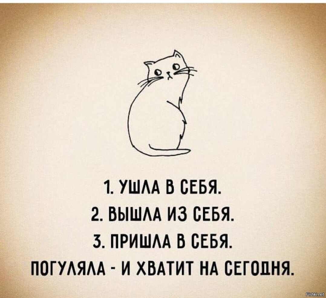 Веселые Мотивирующие фразы