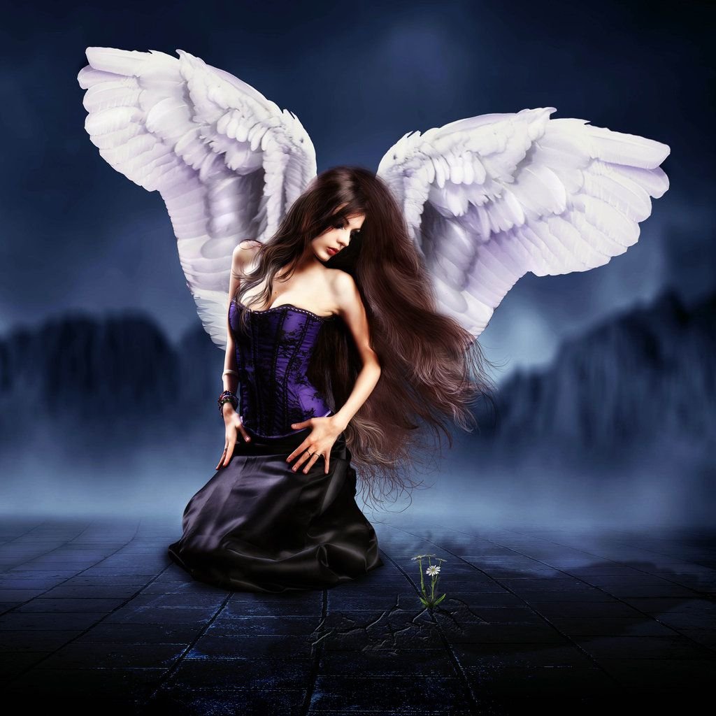 Тень ангела девушки