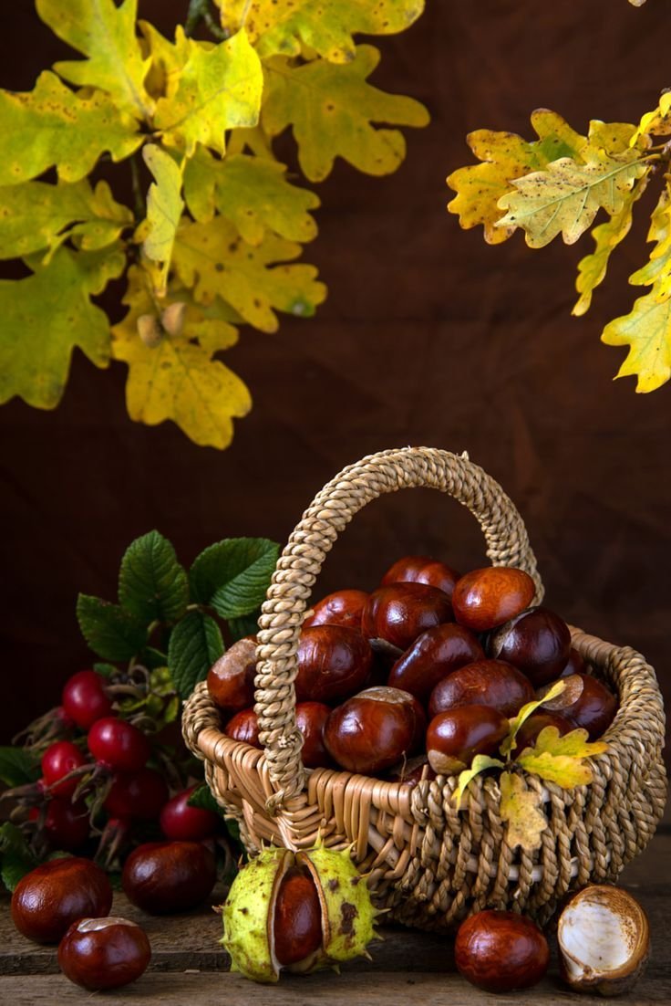 Осенние фрукты