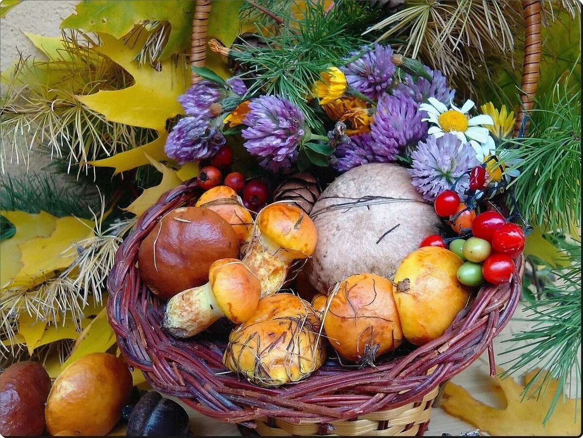 Осенние дары природы