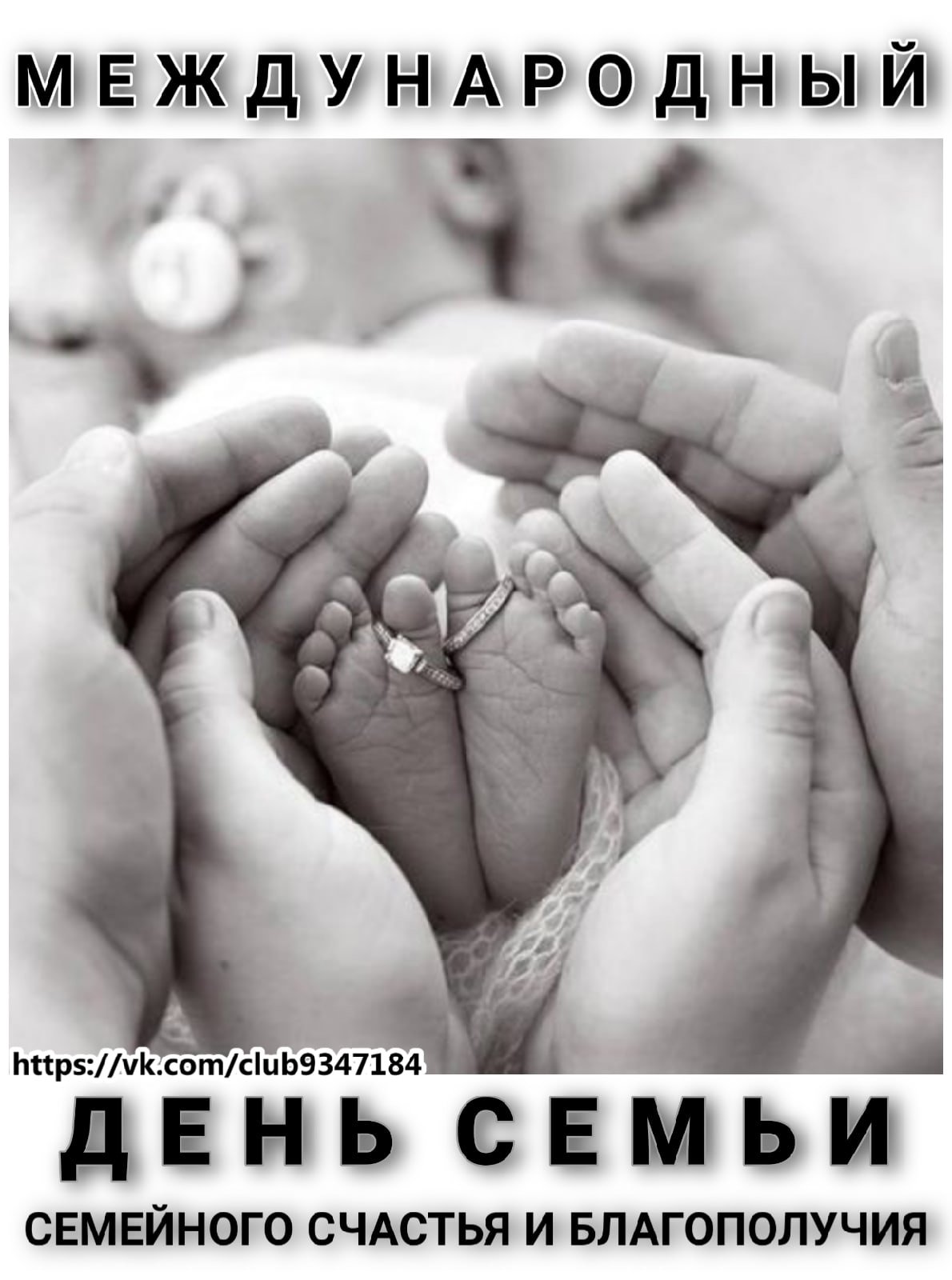 Фотосессии с новорожденными и родителями