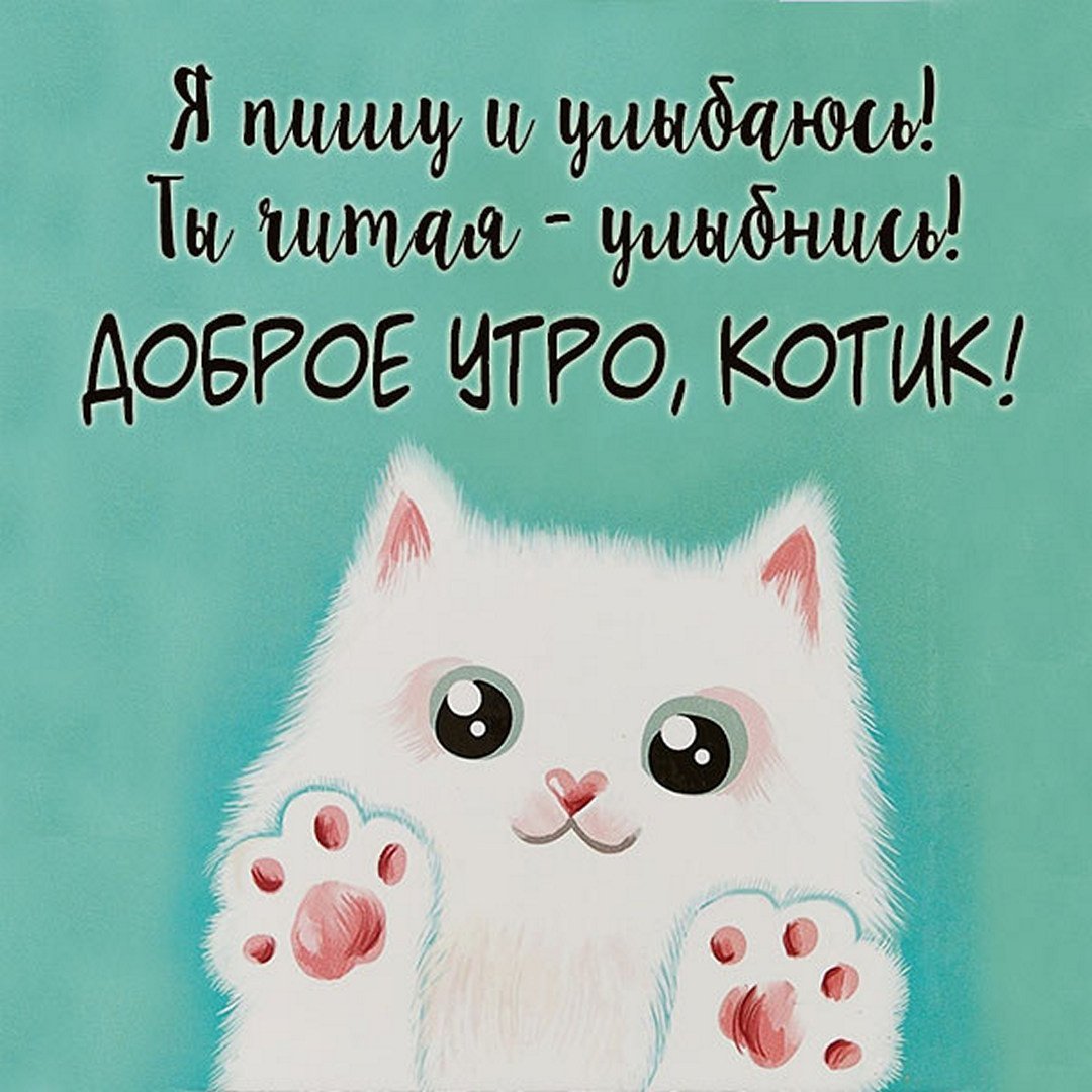 Доброе утро котик мой