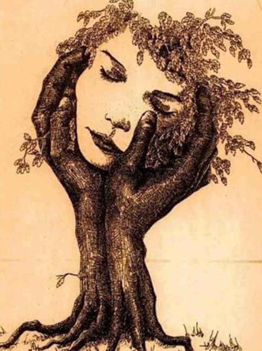 Дерево с лицом