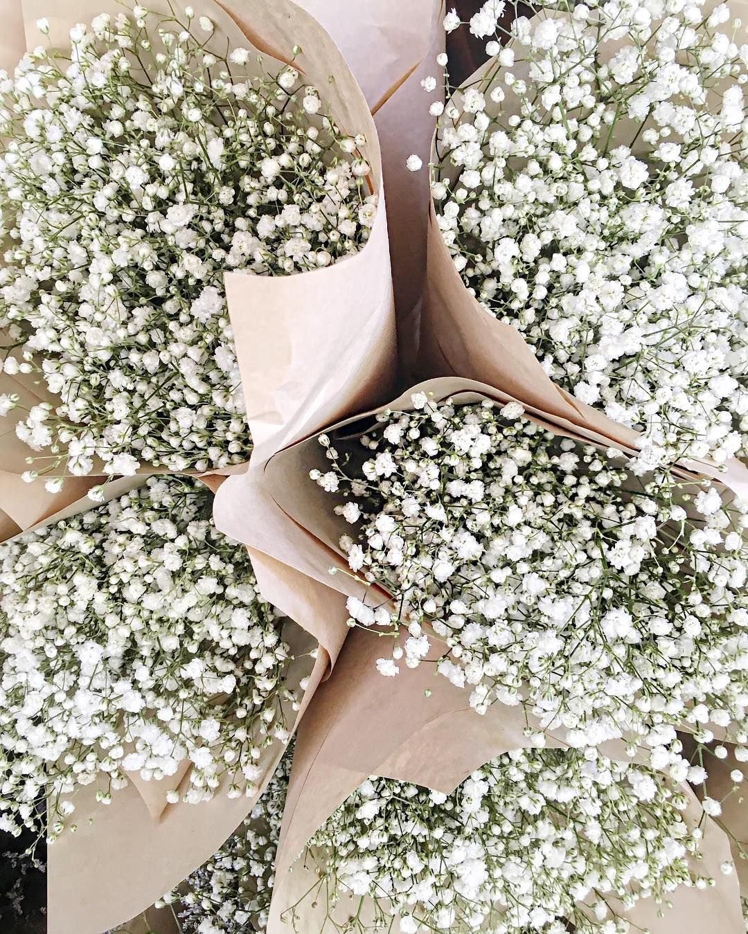 Гипсофила метельчатая сухоцвет