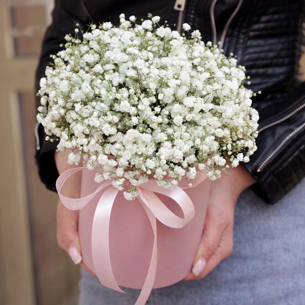 Белые гипсофилы в коробке