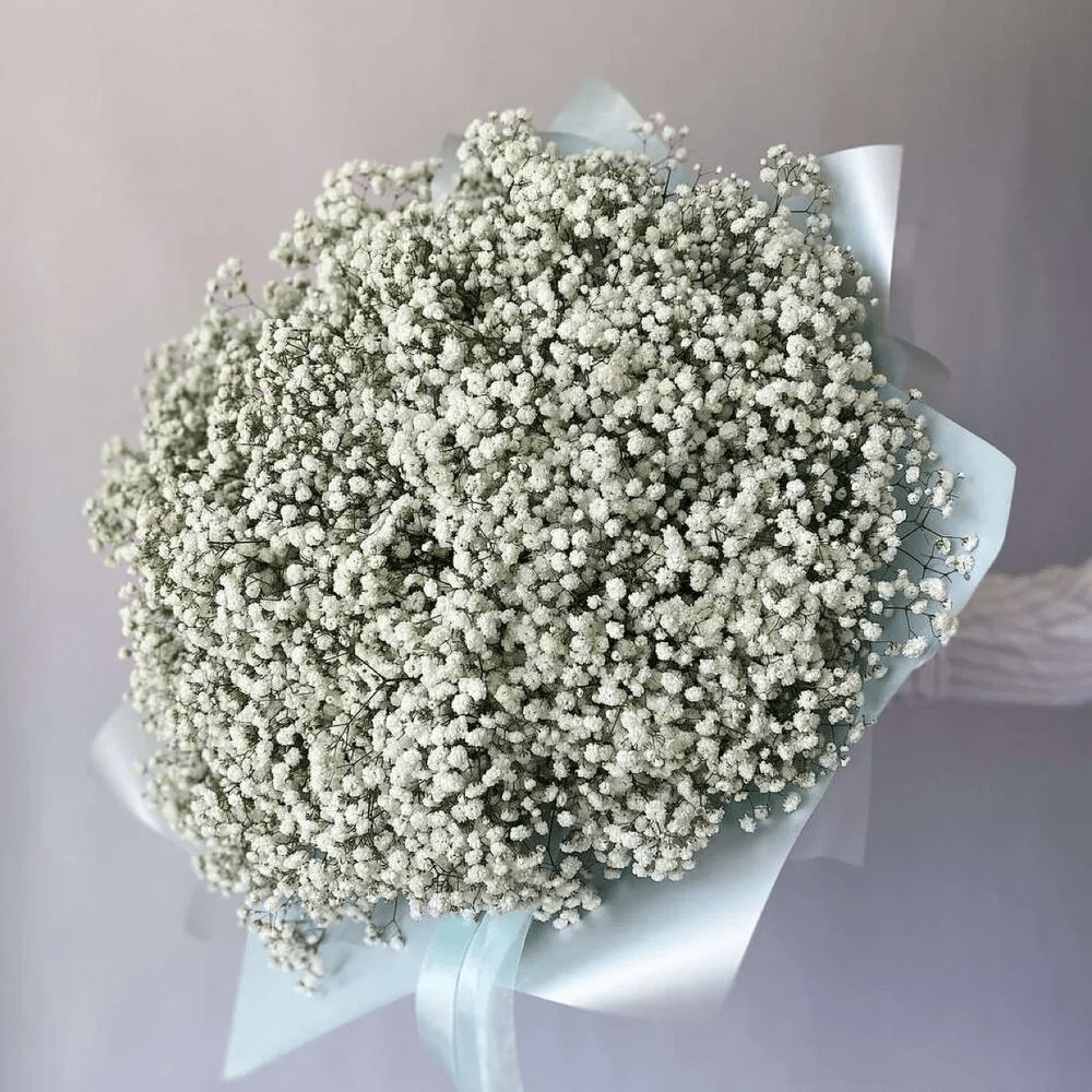 Гипсофила Вайт