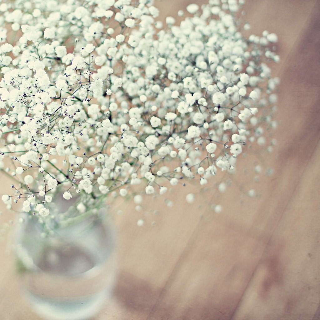 Маникюр на фоне гипсофилы