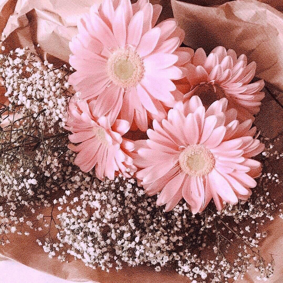 Букет "герберы и гипсофилы"