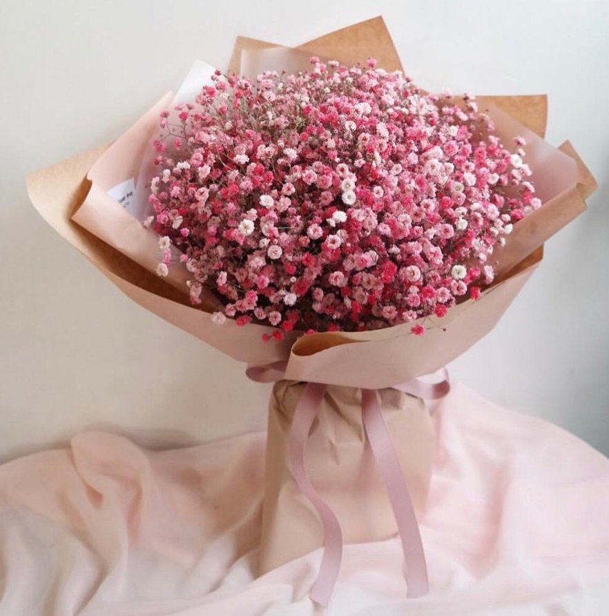 Гипсофила Монобукет