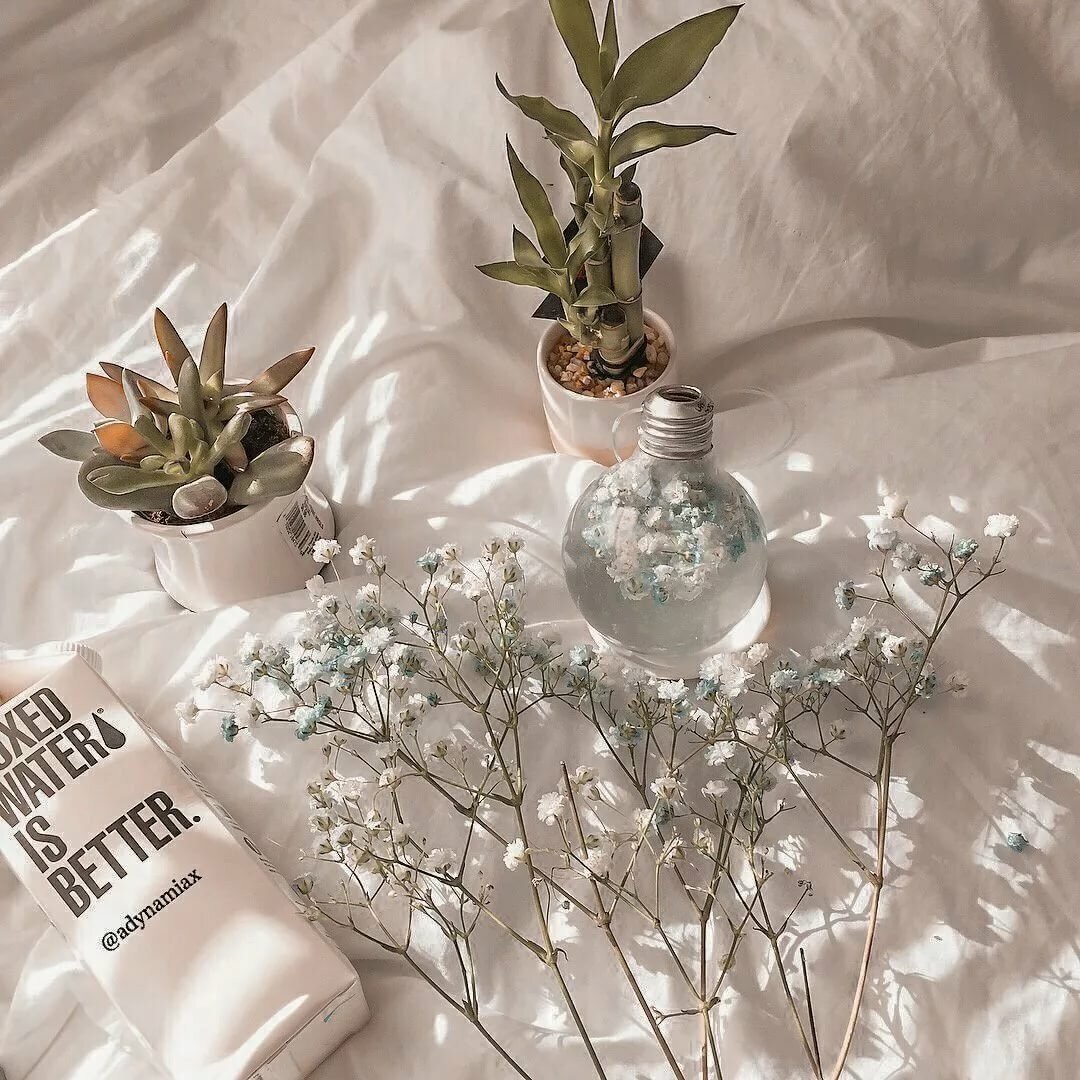 Эстетики с растениями