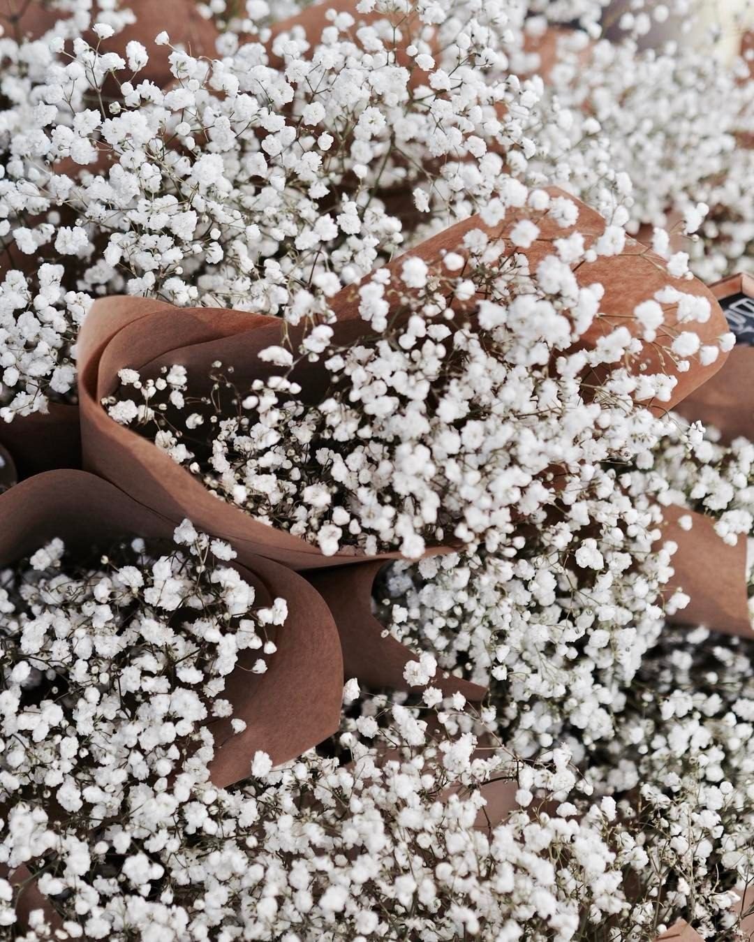 Гипсофила Эстетика