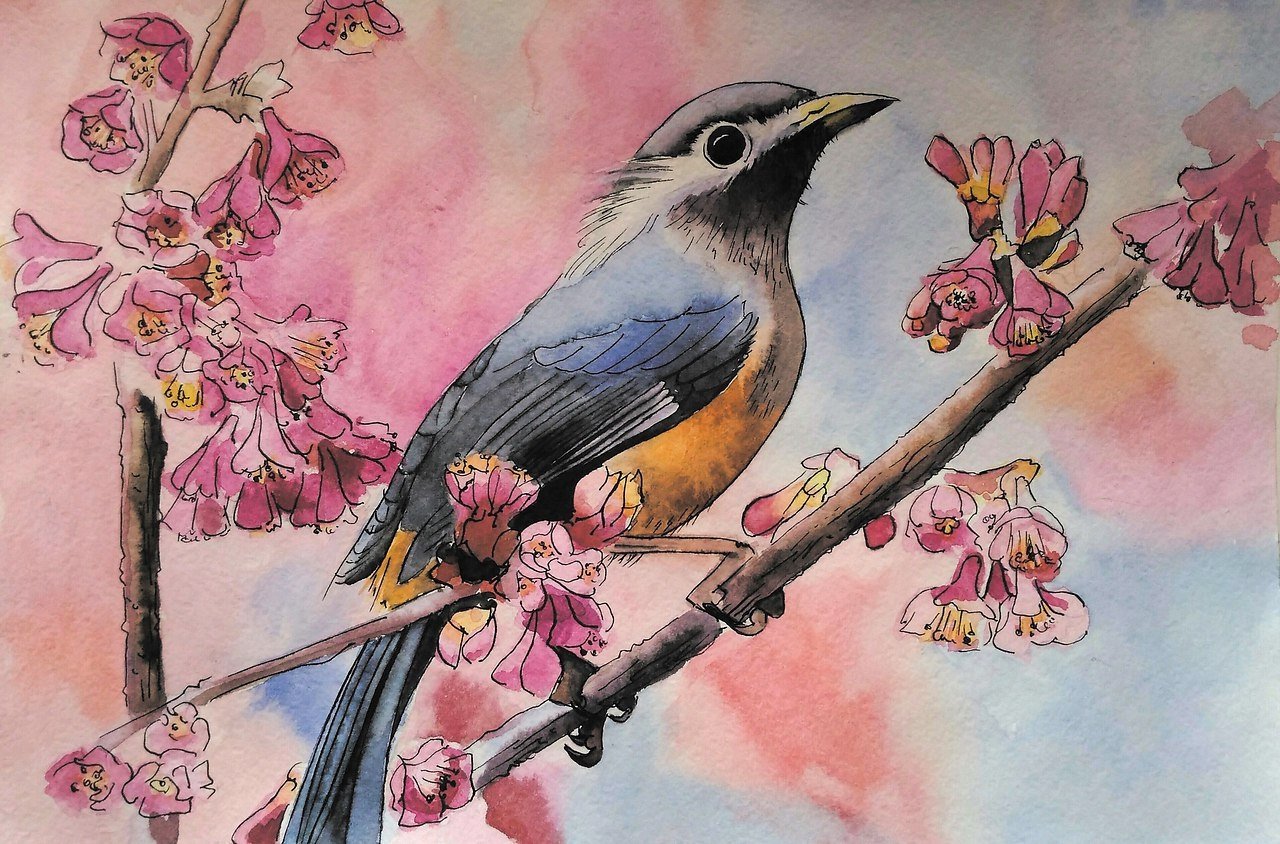 Весенние птицы рисунок. Птица рисунок. Красивые птицы рисунки. Весенние птицы карандашом.