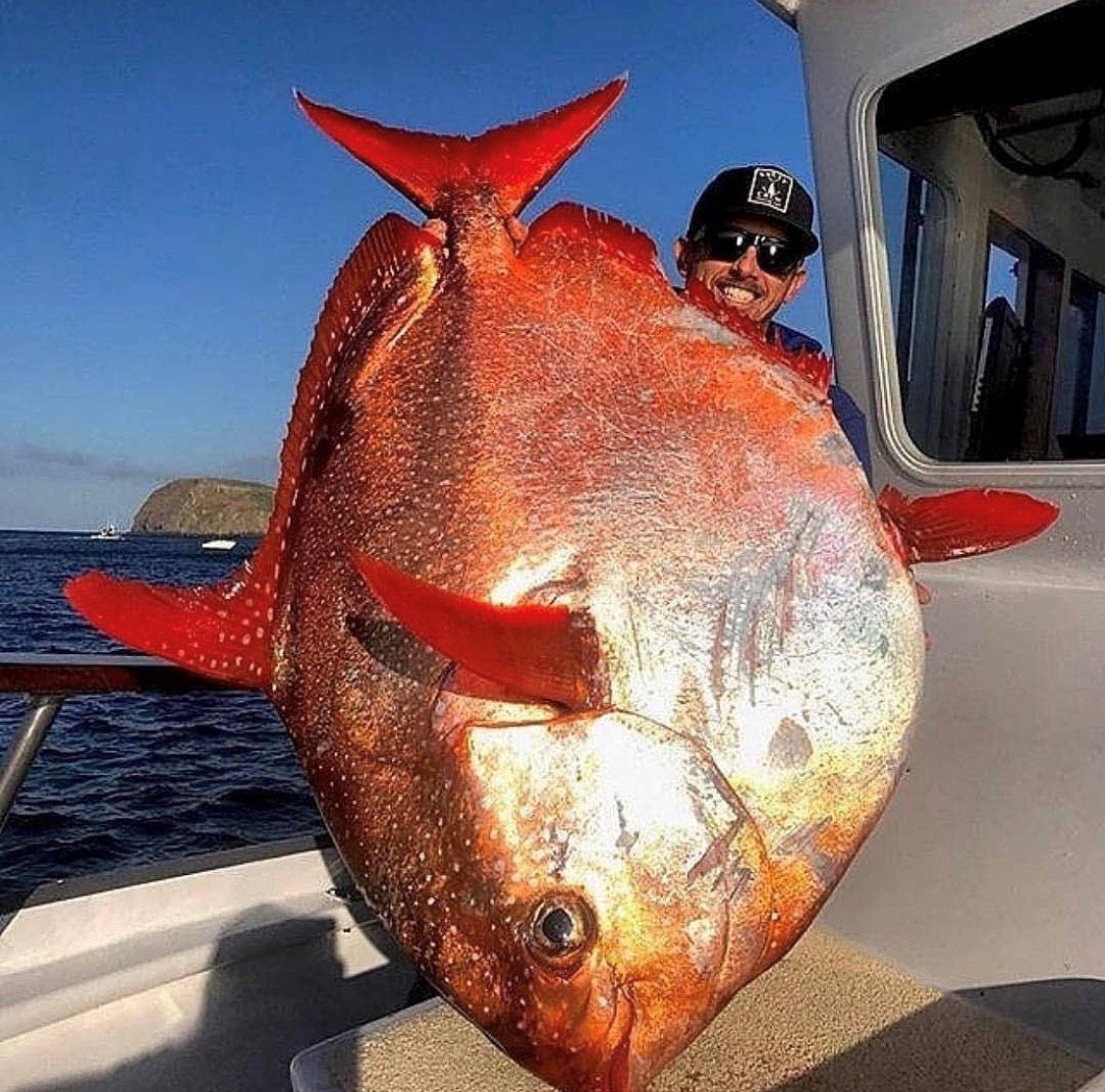 Большая рыба картинки