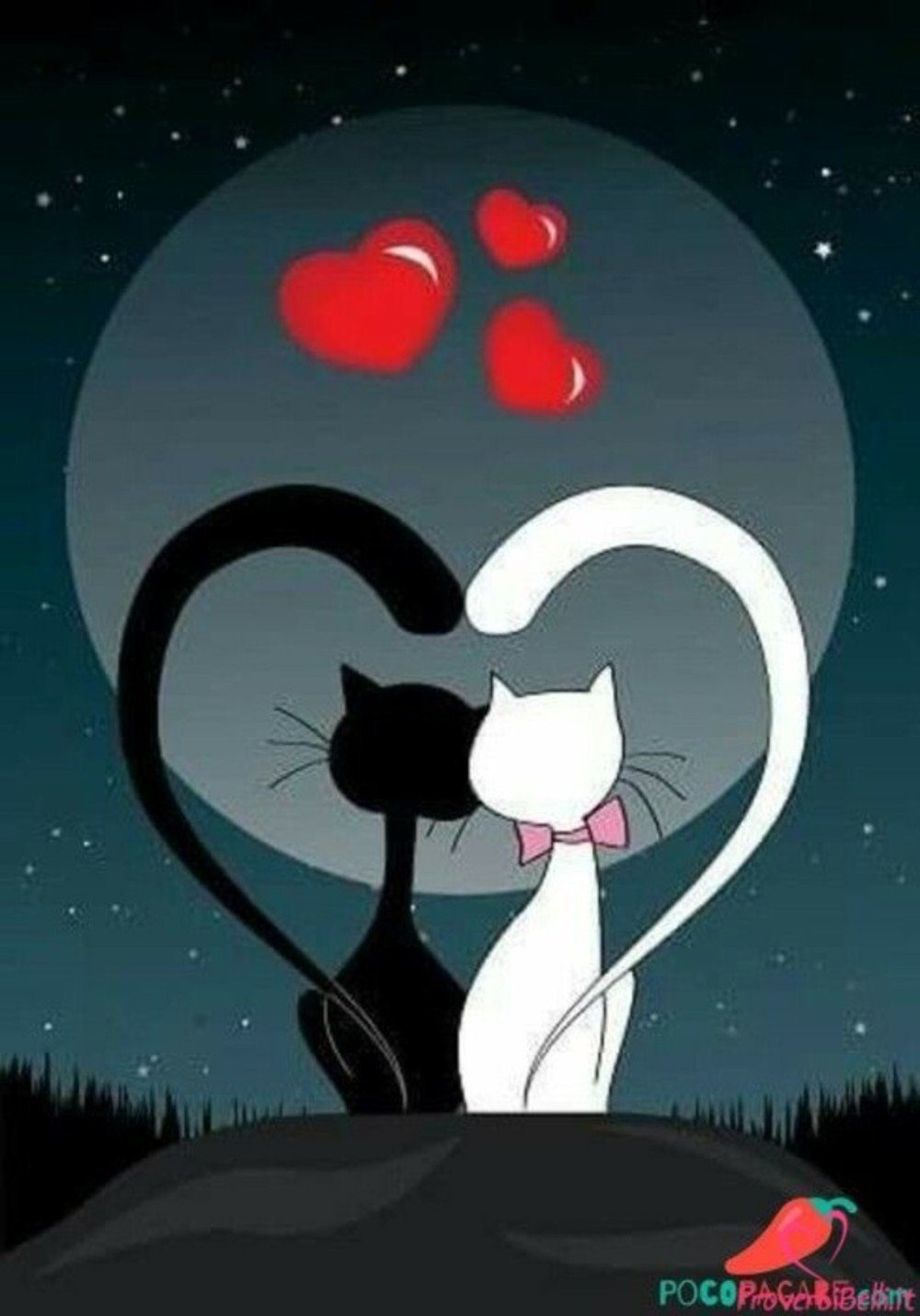 Влюбленные котики картинки