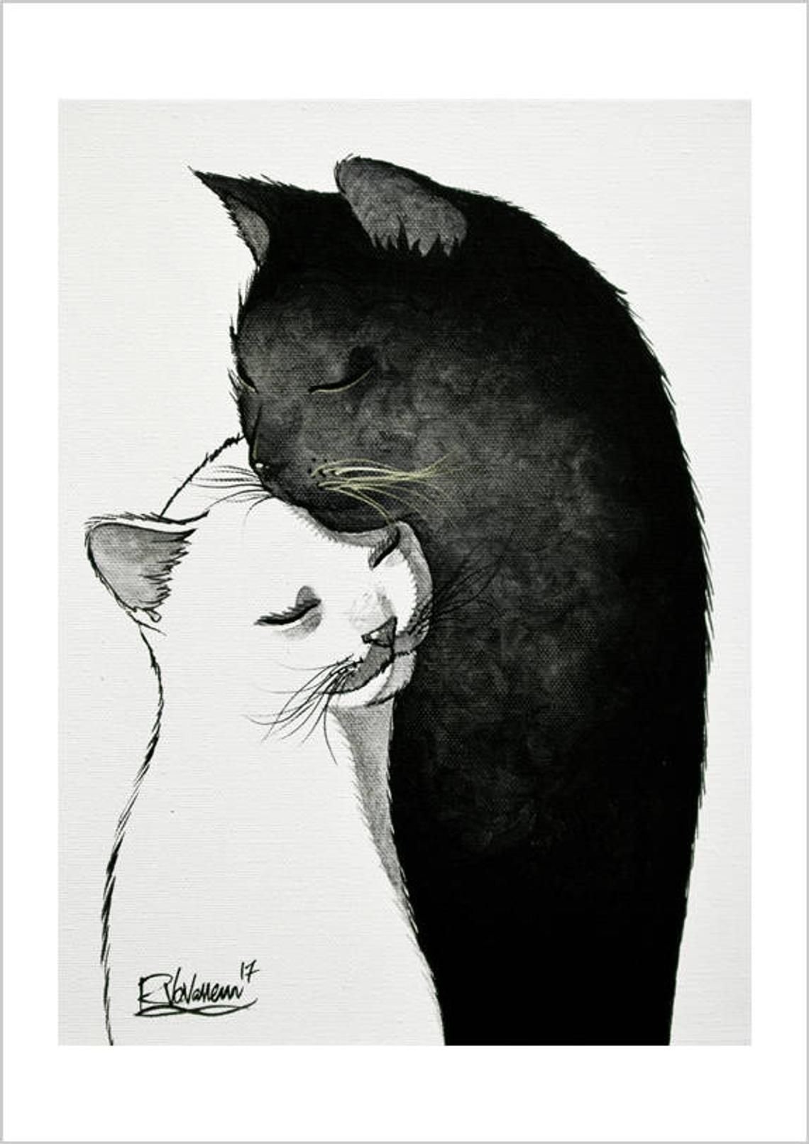 Черный и белый котик обнимаются