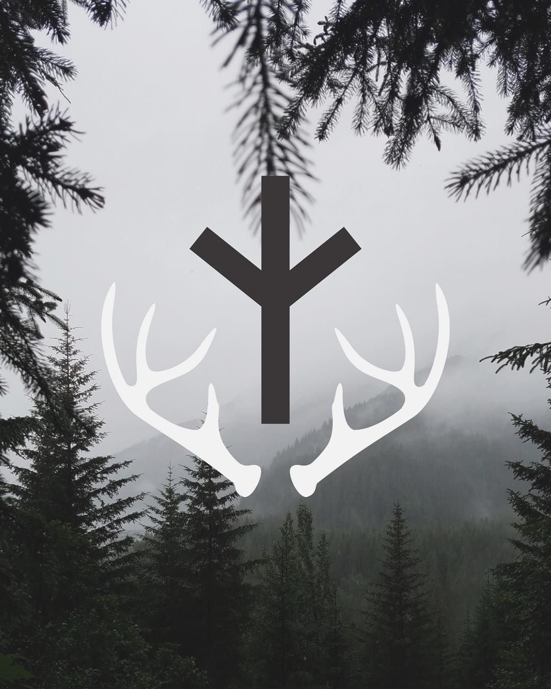 Руна три Феху