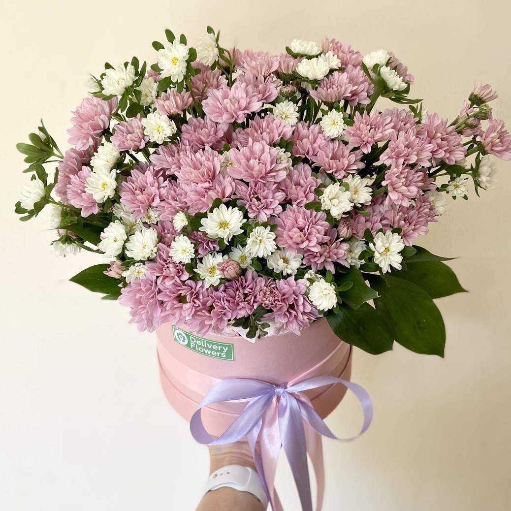 Хризантемы мерцающие