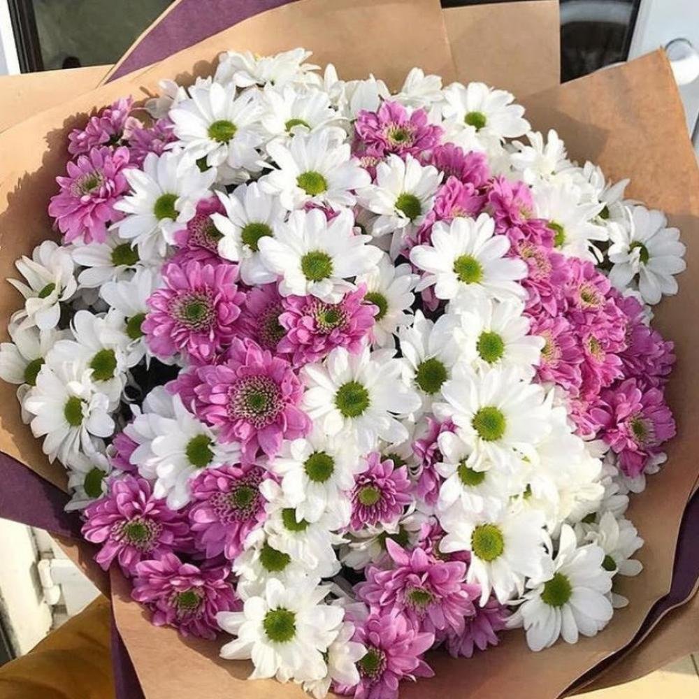 Поздравления с днём рождения Оксане