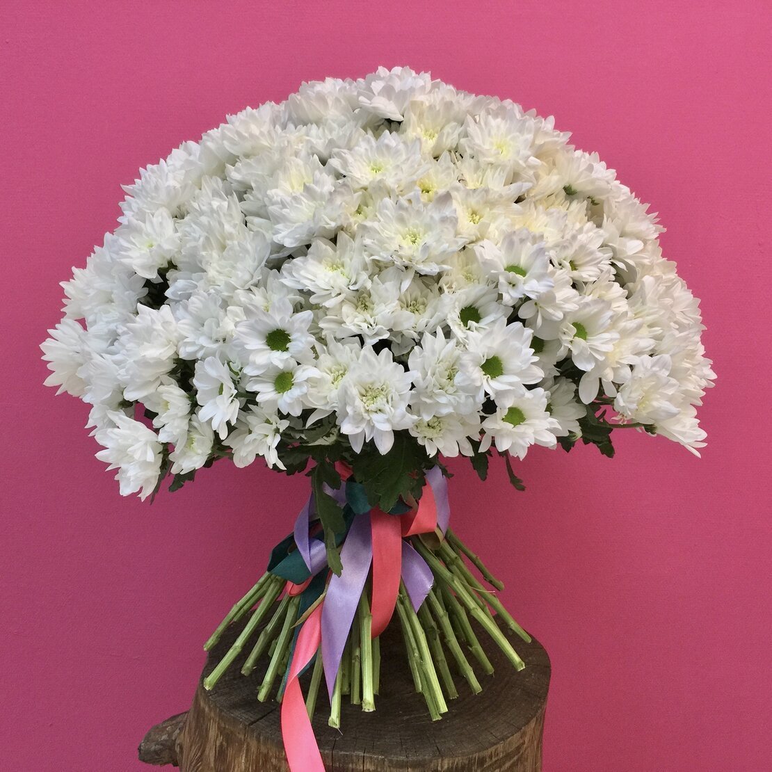 Хризантема кустовая Ромашковая