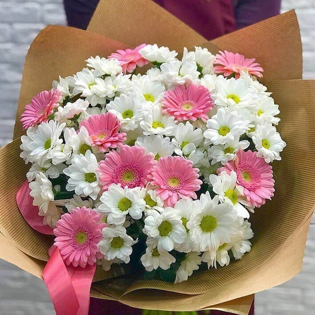 Хьюберт Белфис пионы хризантемы