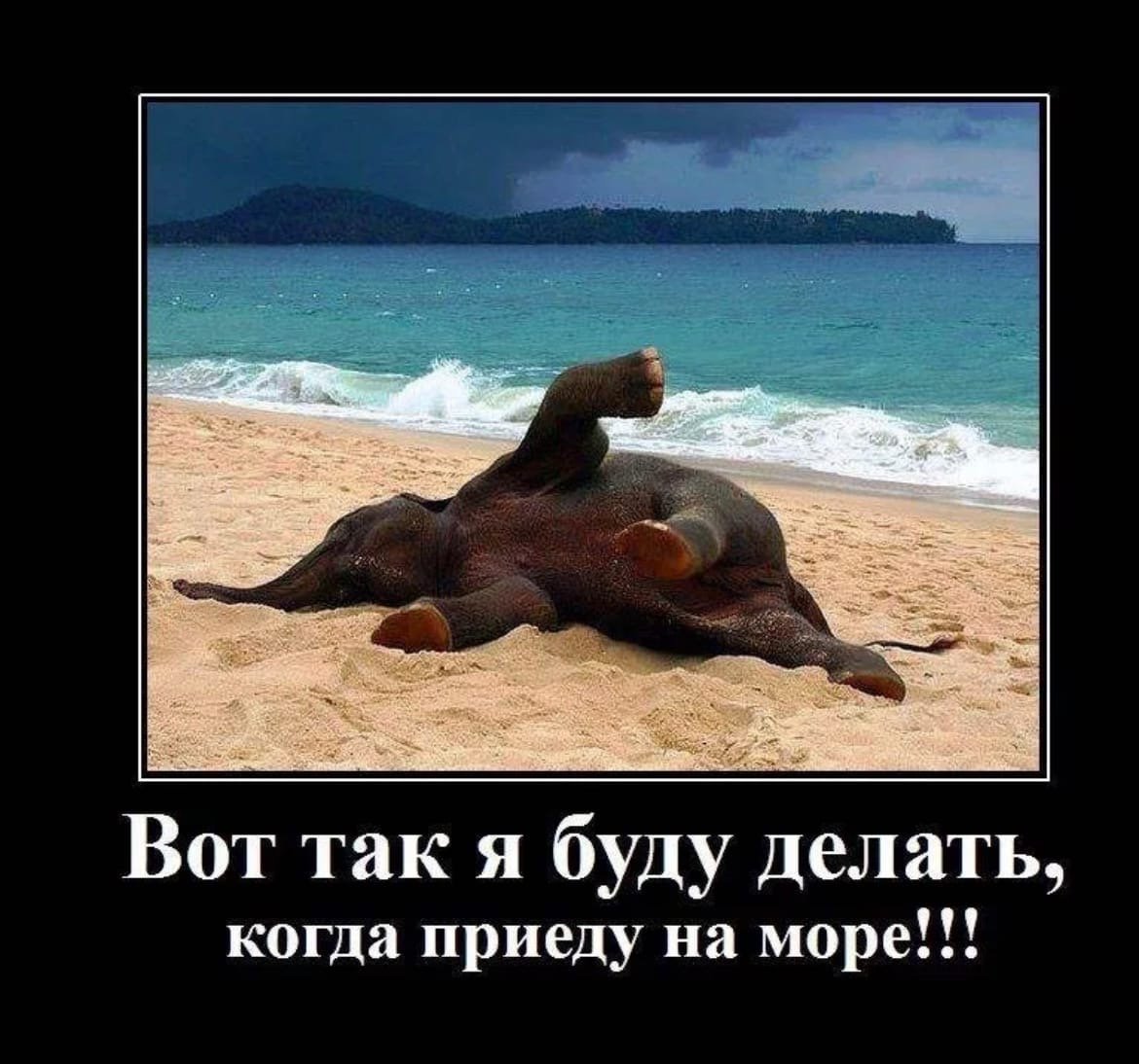 Цитаты про отпуск