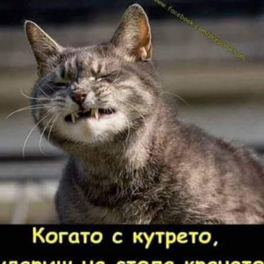 Последний день отпуска