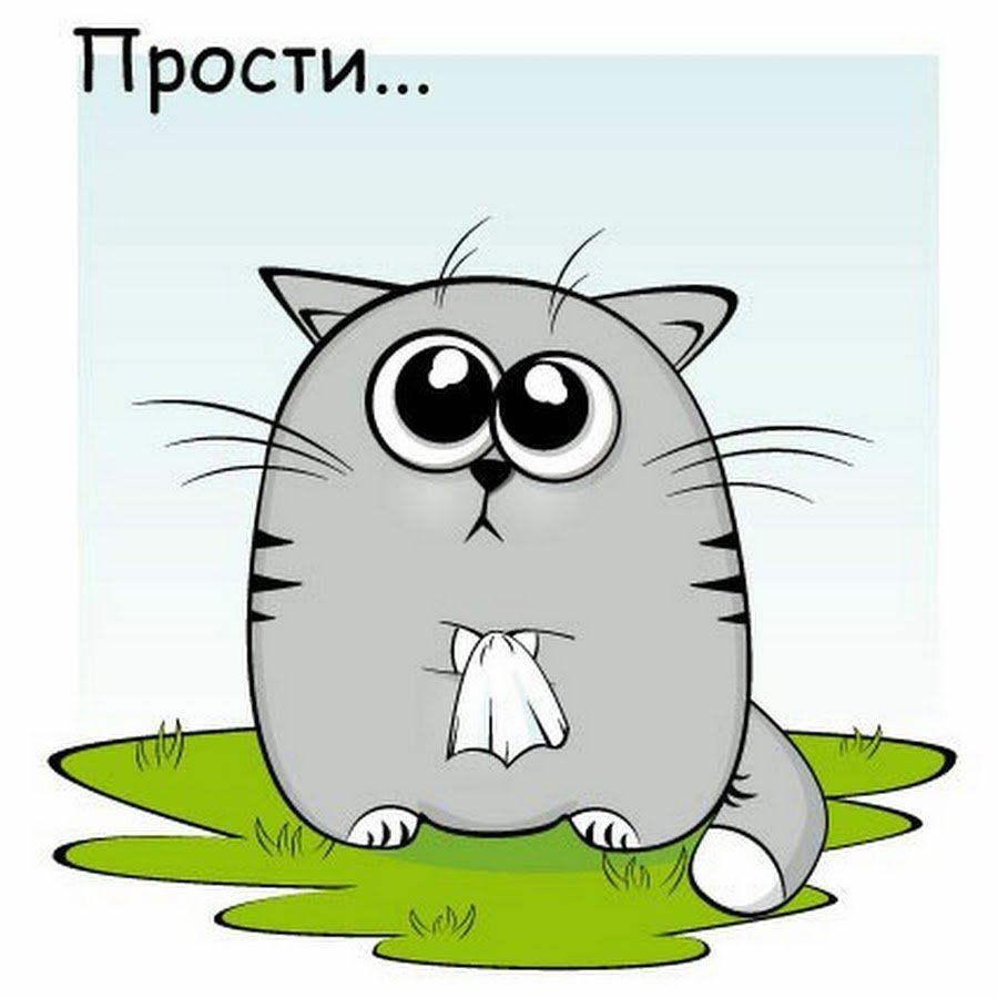 Котик просит прощения