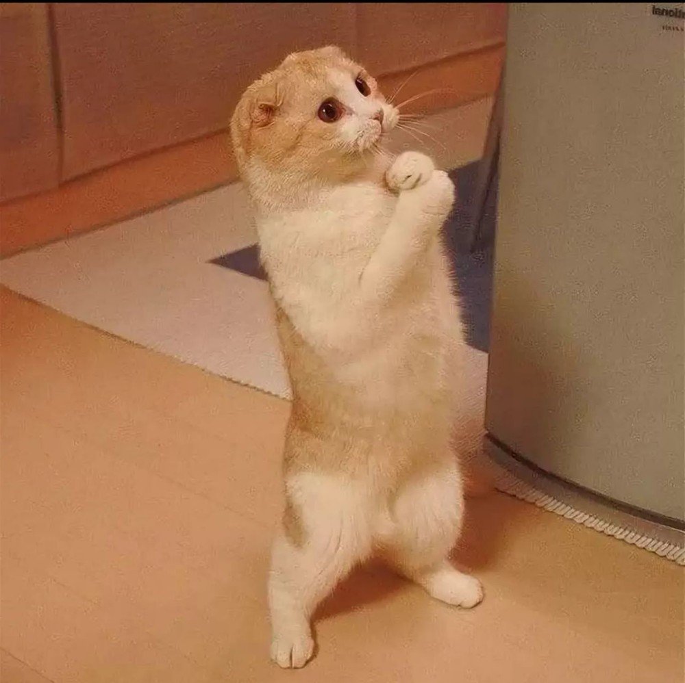 Выздоравливайте скорее