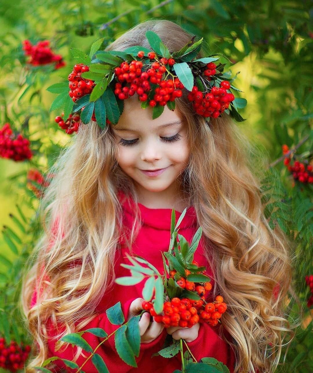 Веточка рябины цветная