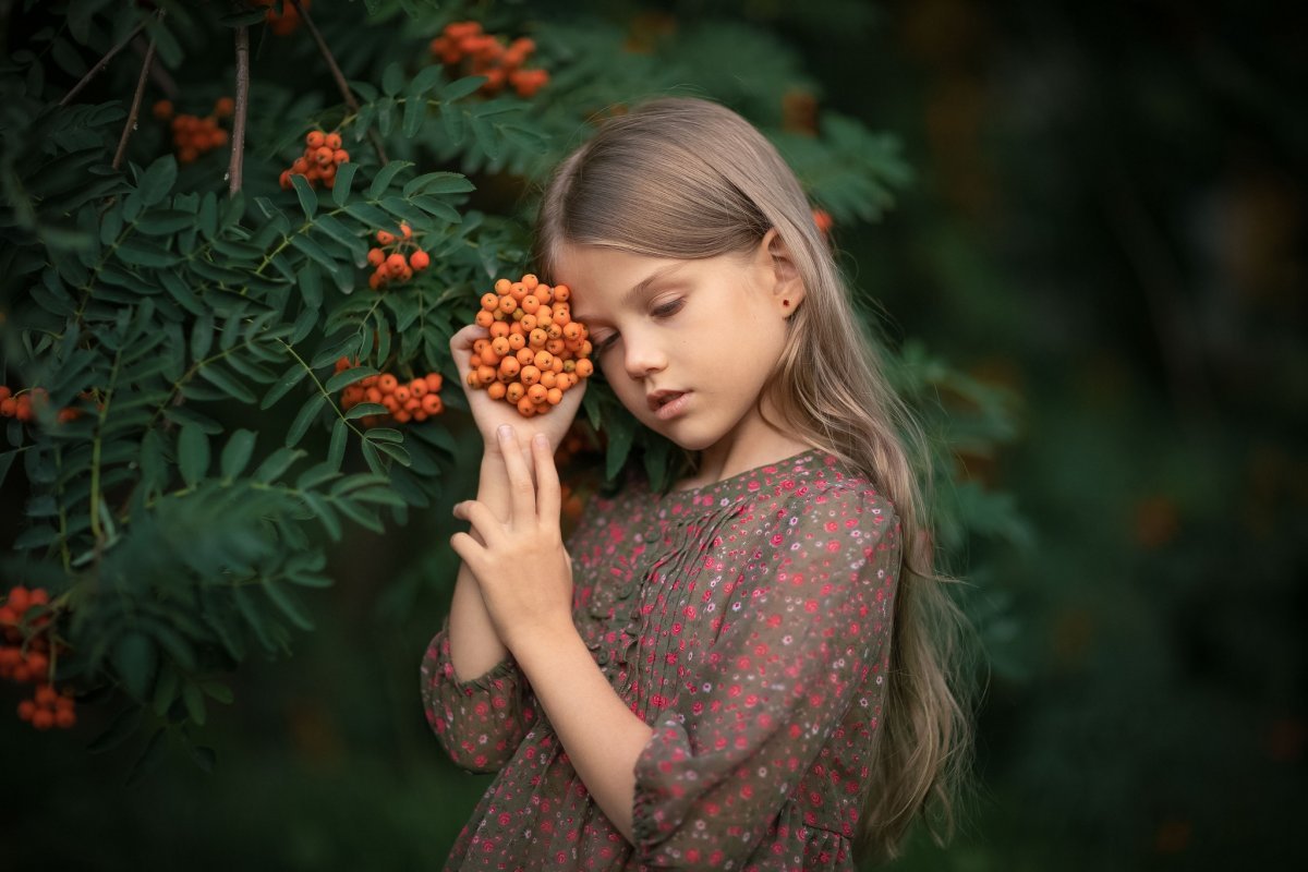 Лист рябины вектор