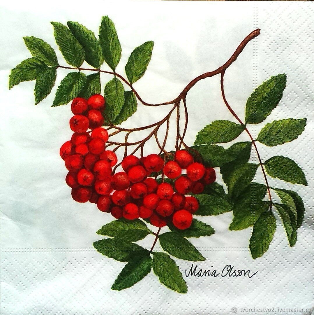 Рябина осенью