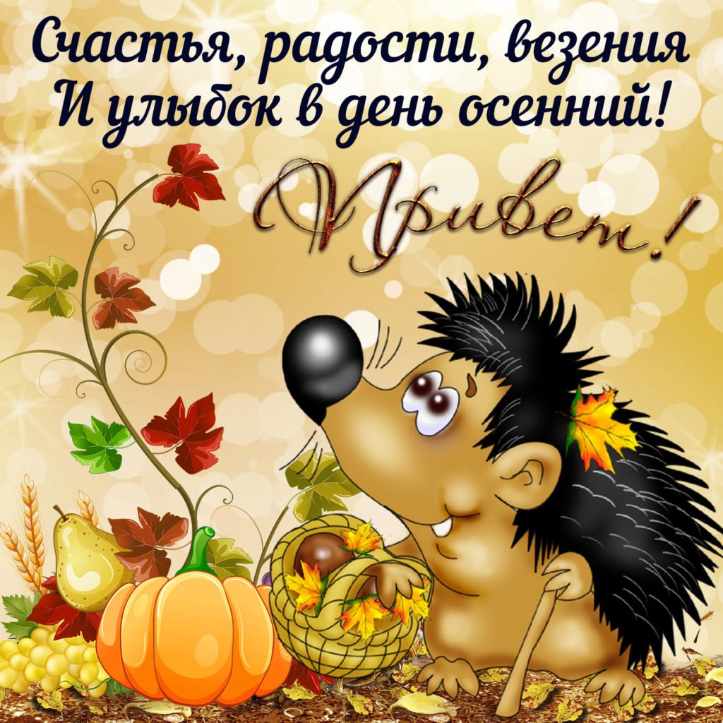 Доброе осеннее утро с котиками