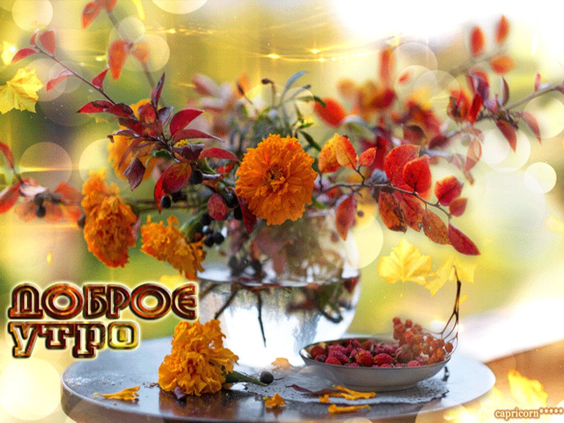 Смешная осень