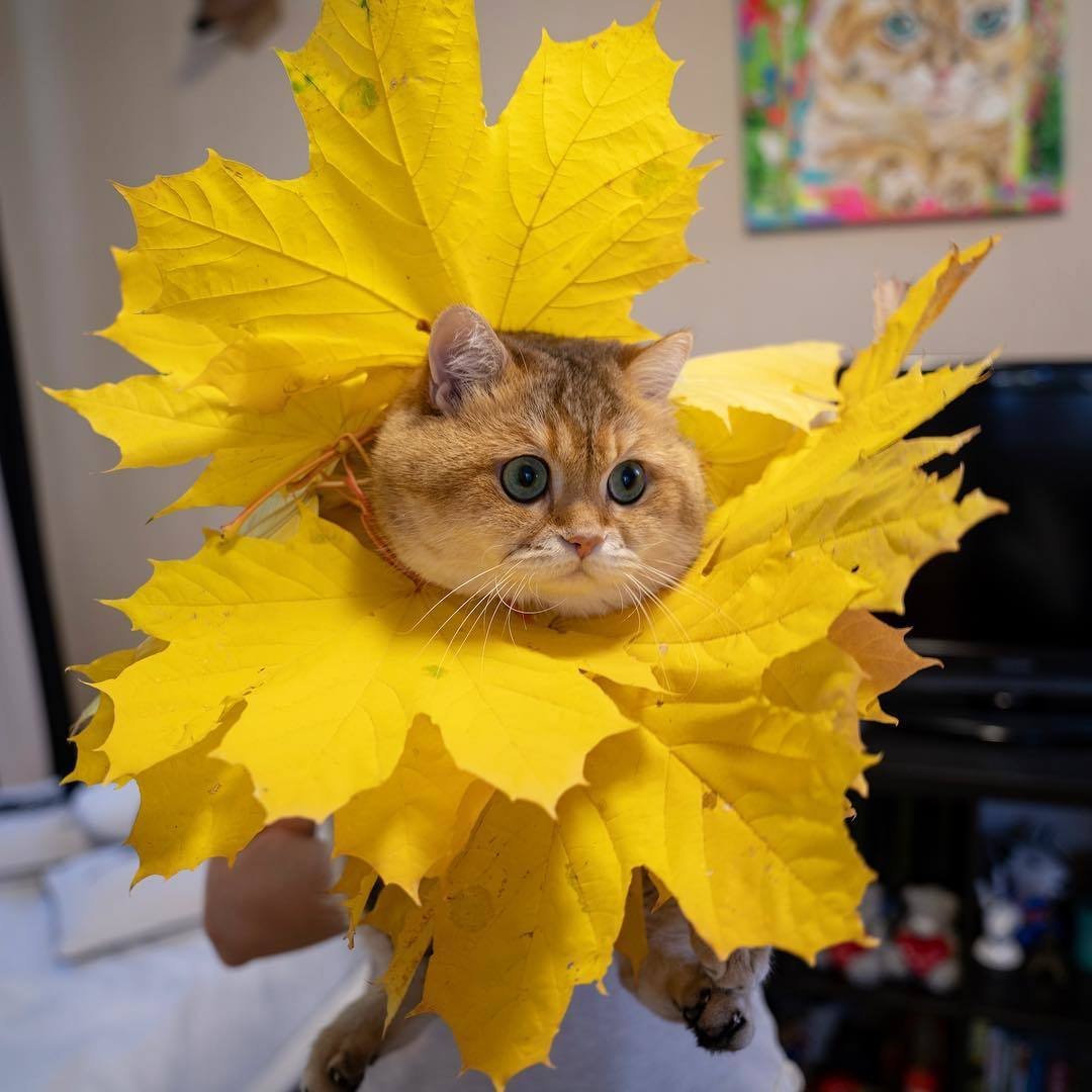 Позитивные пожелания с добрым утром