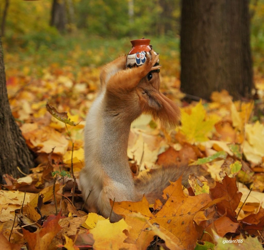 Теплого осеннего утра