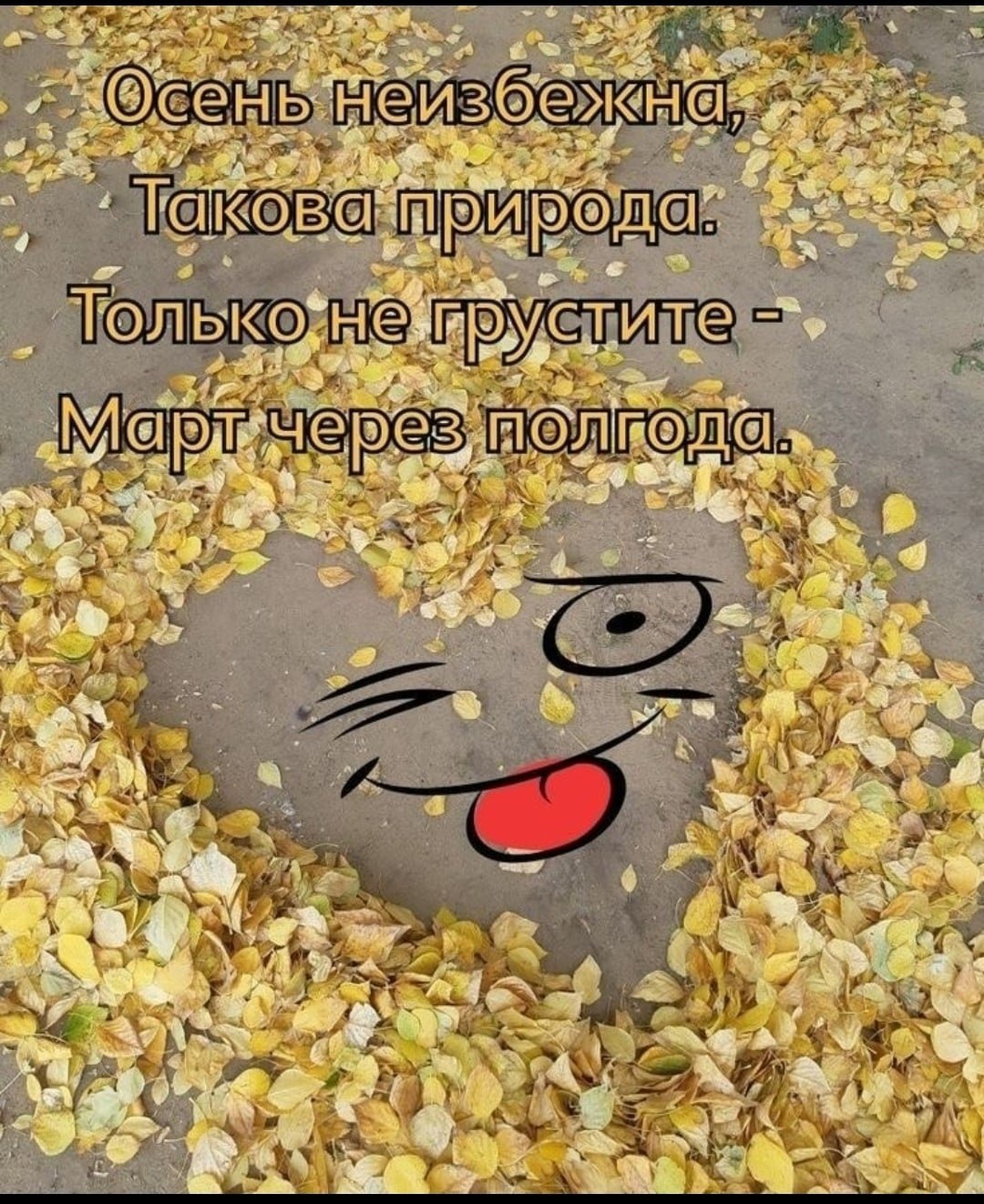 Шутки про осень