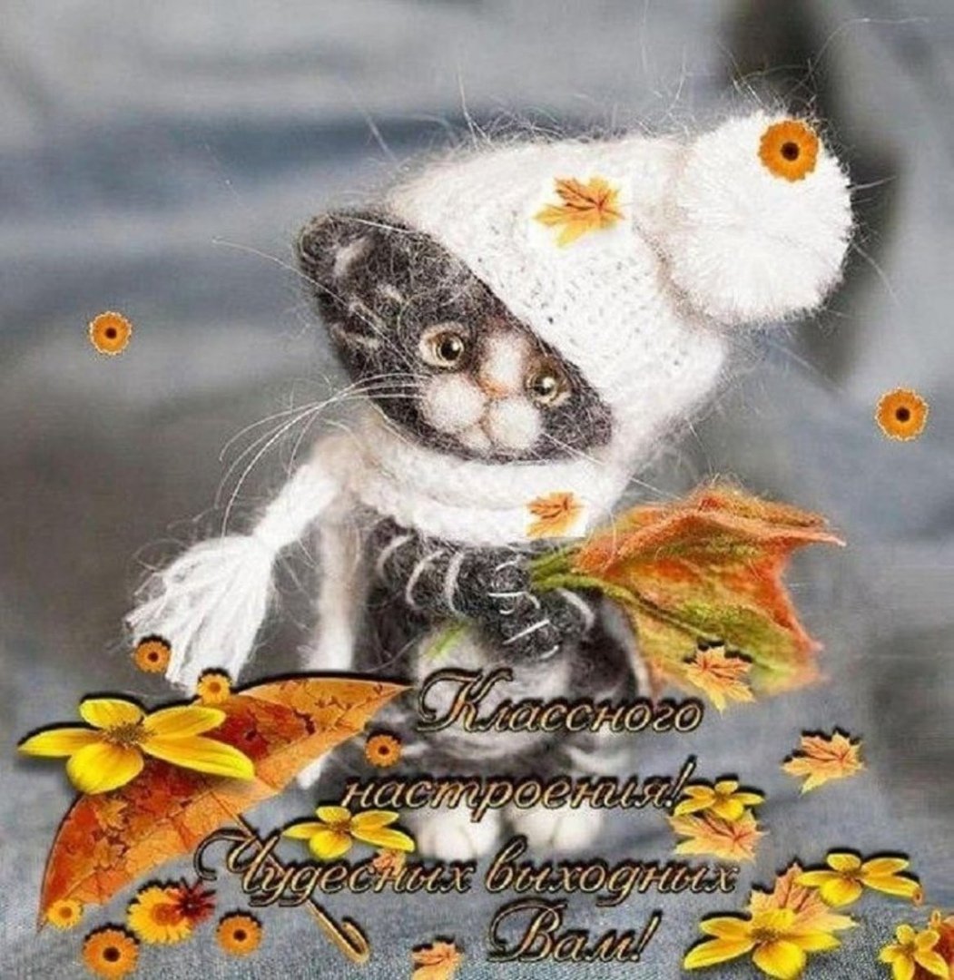 Доброе утро осень собаки