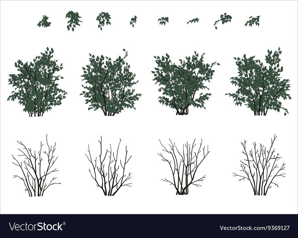 Антураж куст сбоку