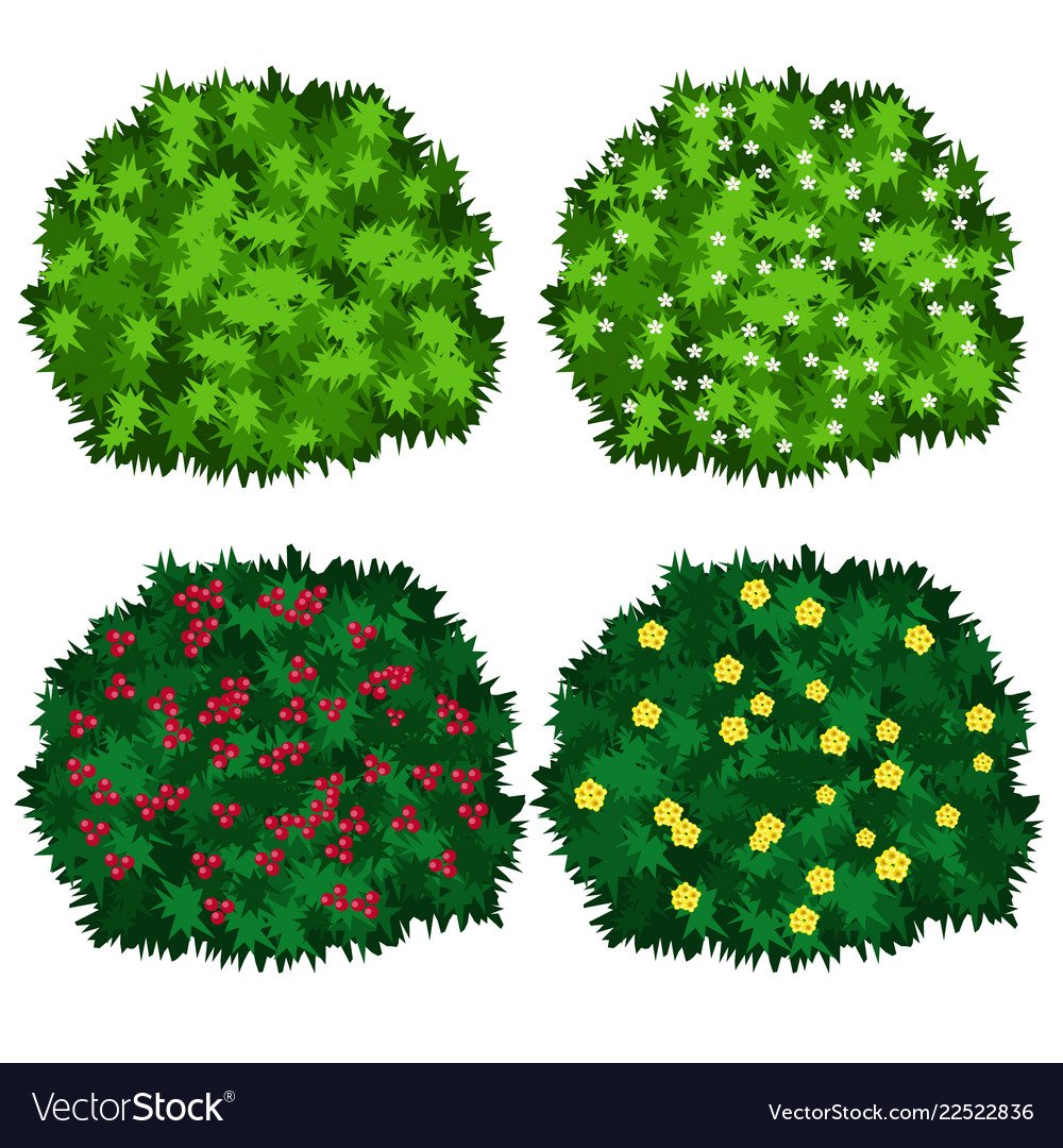 Рисование деревьев и кустов