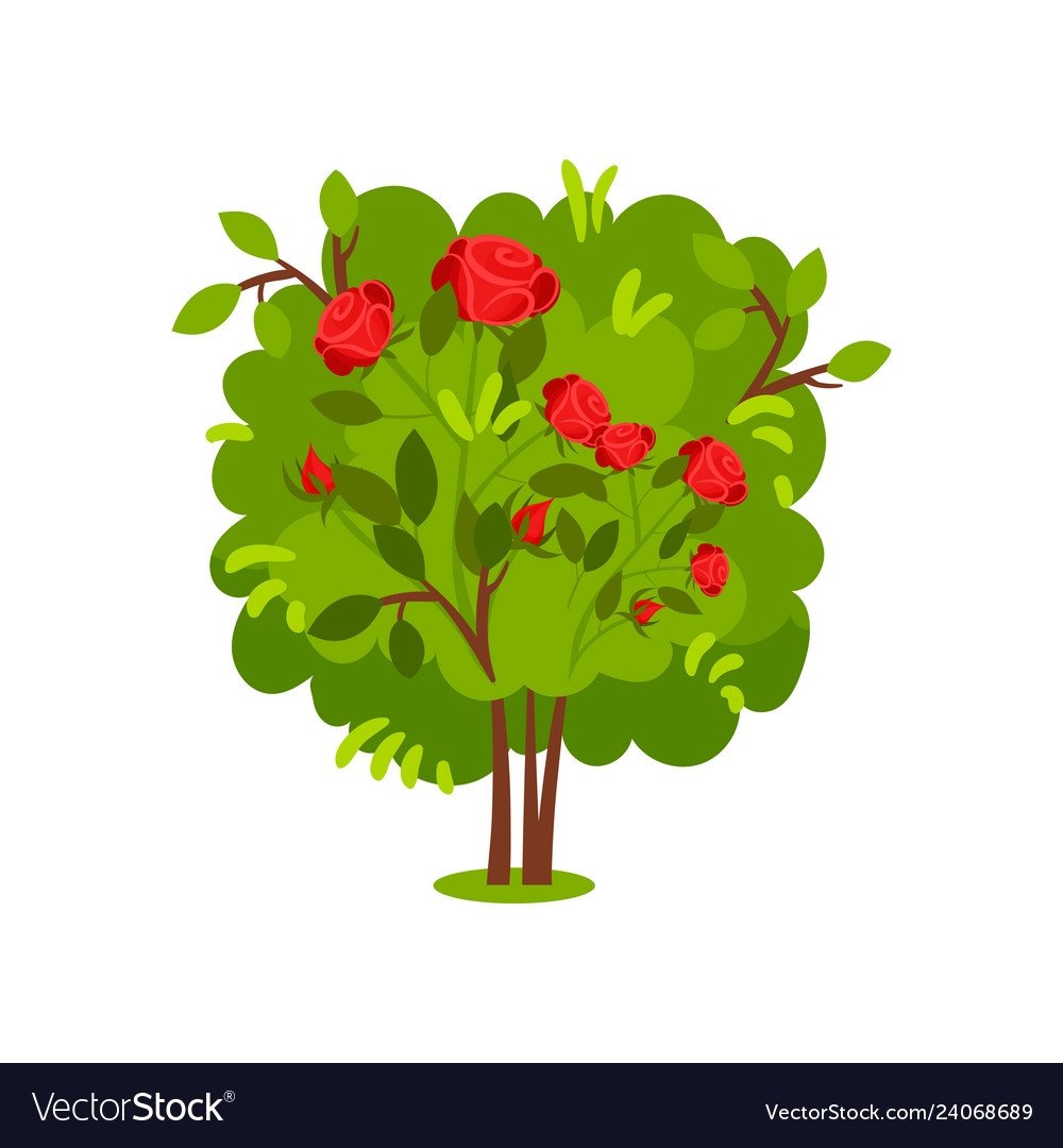 Деревья для дошкольников