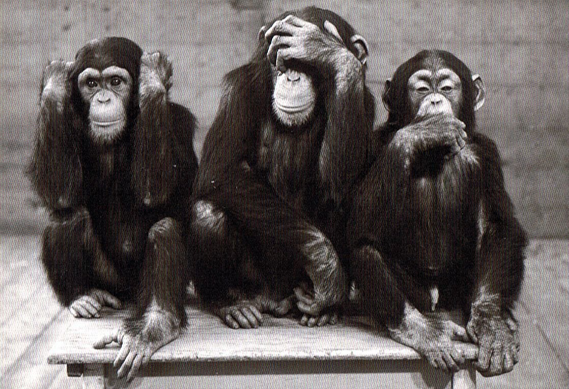 Картина три обезьяны в хорошем качестве